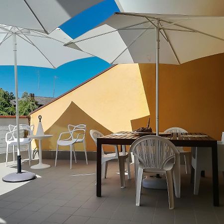 Appartamento Con Terrazza Lido delle Nazioni Exterior photo